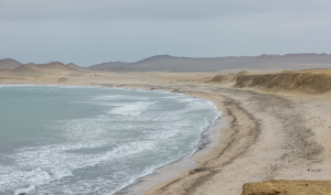 Azpitia, coast Peru, pisco grapes climate, terroir pisco